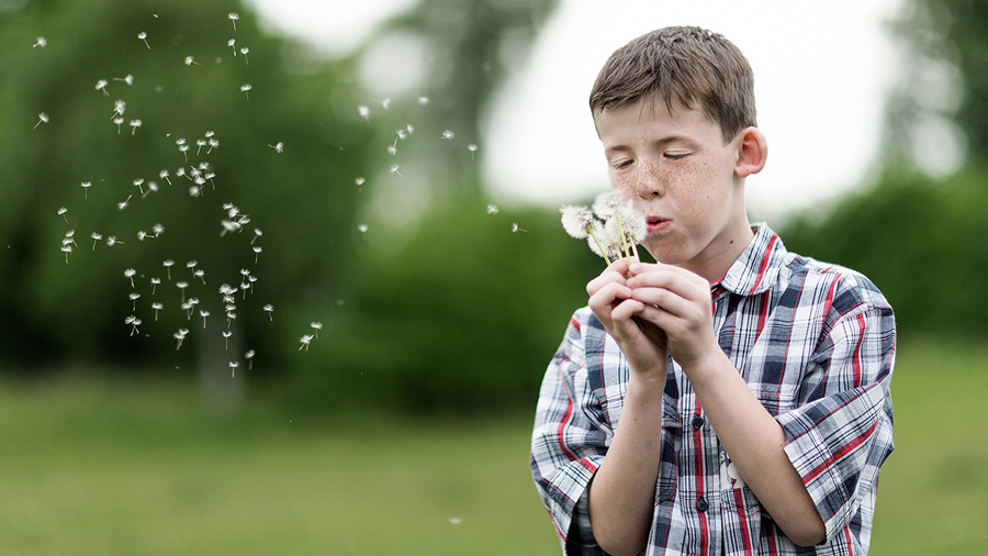 Aufbau, Verbesserungspotenzial, Indiz, Zahl, Fakt, essenziell, essentiell, unabdingbar, Wesen, Ding, Essenz, gehören, Bestandteil, organisiert, Aufspüren, Zusammenhang, Inhalt, Branding,  kommunikativ, Alleinstellungsmerkmal, verteidigungsfähig, zielgruppenorientiert, wirtschaftlich, Preis, Zeit, Qualität, Verkaufspsychologie, herausragend, Leistungsmerkmal, bezeichnet, Dienstleistung, deutlich, Abhebung, Veritabel, wahr, Bedeutung, angewandt, genau, entsprechend, wahrhaft, echt, wirklich, Kundenvorteil, Unique Selling Point, Mehrwert, Konkurrenz, Abheben, Verbraucher, Alleinstellungsmerkmal, Kauf, Anregen, visuell, Gefühl, potentiell, Auslösen, vermitteln, Eigenschaft, Wirtschaftsobjekt, Markenname, Verbindung, konkurrierend, Objekt, Unterschied, aktiv, Aushängeschild, Botschaft, assoziiert, schwach, verknüpfen, zusammenschließen, vereinigen, anschließen, Gemeinschaft, koalieren, verbinden, verbünden, zusammengehen, zusammentun, vereinen, konföderieren, soziieren, Gedächtnis, Konzeption, Eventplanung