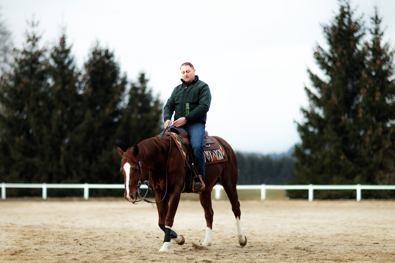 Schönheit, Gegend, Eintagesritt, erleben, Mehrtagesritt, Gäste, organisiert, Abend, Grillabend, Steaks, Rinderzucht, Nähe, Westernstadt Pullmann City, Tagesritt, Bewegung im Freien, Genuss, Natur, streifen, Programm, warm, Jahreszeit, Winter, Wanderritt, Pulverschnee, Ritt, urig, Hüttenzauber, genießen, Dauer, Ziel, ansteuern, Absprache, Führer, bestimmen, Angebot, einmalig, Gelegenheit, hautnah, erlebnisecht, Sternritt, weitläufig, hügelig, Dorado, Gebiet, Betätigung, ideal, Gegebenheit, Voraussetzung, ausreichend, Entfaltungsmöglichkeit, Wunschland, Paradies, Tourenplanung, Organisation, Tagestour, Wochenendsternritt, Umgebung, anspruchsvoll, Mehrtageswanderritt, Tschechei, Gepäcktransport, Kondition, Sitzfleisch, Reitzeit, Sattelsnack, Rastplatz, grasen, Strecke, Gruppengröße, Reitstation, Gasthaus, Genießer, Wochenende, fortgeschritten, Begleitung, Wiedereinsteiger, Eltern mit Kind, Reiterfahrung, selbständig, antreiben, bremsen, lenken, Sicherheit, Gelände, mehrstündig, Arrangement, Schritt, getrabt, traben