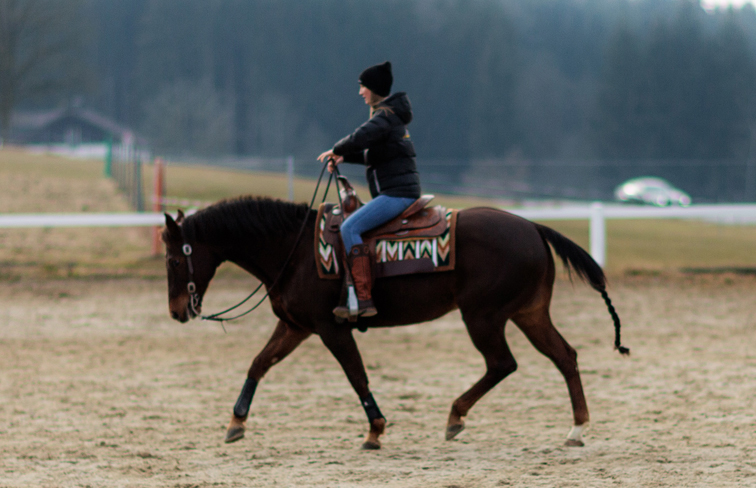 Mittagspause, Hof, Übernachtung, Frühstück, Leihpferd, Rittführung, Lagerfeuer, Reiterschnaps, Ankunftsbrotzeit, Abschlussbrotzeit, Anreise, Begrüßung, Brotzeit, Kennenlernen, Reitplatz, Samstag, ruhig, Reitstunde, Mittagsrast, abends, Wetter, Sonntag, Halbtagesritt, Willkommensbrotzeit, Satteltaschensnack, Mittagessen, Grillen, Lagerfeuer, Handtuch, Gangart, erforderlich, Einführungsritt, versorgen, Geländeerfahrung, Tagesstrecke, Zimmer, Reiturlaub, Reitferien, Ferienwohnung, Nichtreiter, abwechslungsreich, Wälder, Wiesen, Hügel, Täler, sattelfest, Ponyreiten, Kleinsten, Reitunterricht, herrlich, Kutschfahrt, Reiterferien, Familie, Gruppe, Freunde, Paar, allein, Single, Alleinerziehend, Kind, individuell, gestaltbar, relaxen, Lust, Laune, Versorgung, Pflege, alltäglich, Arbeit, nett, Leute, locker, Athmosphäre, gemeinsam, Lagerfeuerabend, Begleitperson, Pferdefreund, reichlich, Freizeitaktivität, interessant, Ausflugsziel, Geschichte, denkmalgeschützt, renoviert, Vierseithof, Dorf, Ausblick, großzügig, Komfort