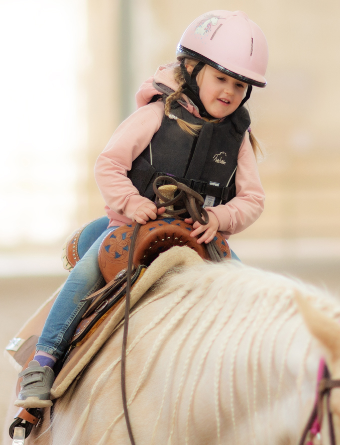 Weltreiterspiele, Weltmeisterschaft, Reining-Europameisterschaft, FEI-Disziplin, Reining-Verband, Million Dollar Earners, Turnier-Pferd, Turnierpferde-Besitzer, Mutterstuten, Turnierpferden, Vatertiere, NRHA-Wettbewerb, Laufbahn, Million Dollar, One Million Dollar Run, Las Vegas, FEI-Einzelweltmeister, Shawn Flarida, Duane Latimer, Tom McCutcheon, Bernard Fonck, Europameister, Grischa Ludwig, Gina-Maria Bethke, Andrea Fappani, Status, Eight Million Dollar Rider, Wanderreiten, Reiterhof, Bayerischen Wald, Urlaub, Bayern, Bestand, Araber, Lusitano, Andalusier, Landschaft, erkunden, Anfänger, Könner, geführt, Ausritt, geländesicher, Nationalpark, Donau, verborgen, Schönheit, Gegend, Eintagesritt, erleben, Mehrtagesritt, Gäste, organisiert, Abend, Grillabend, Steaks, Rinderzucht, Nähe, Westernstadt Pullmann City, Tagesritt, Bewegung im Freien, Genuss, Natur, streifen, Programm, warm, Jahreszeit, Winter, Wanderritt, Pulverschnee, Ritt, urig, Hüttenzauber, genießen, Dauer, Ziel, ansteuern, Absprache, Führer, bestimmen, Angebot